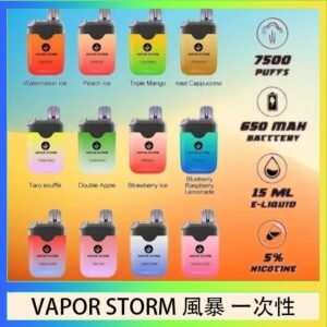 Vapor Storm風暴電子煙7500口（5%）一次性