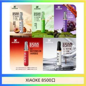 梟客XIAOKE一次性電子菸拋棄式8500口