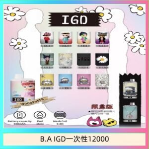 B.A IGD12000口 電子煙