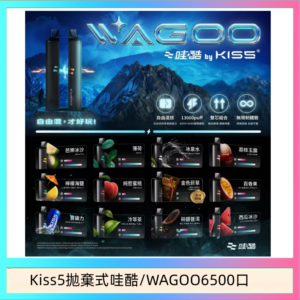 WAGOO哇酷Kiss5 6500口拋棄式 | 自由混搭雙口味 | 雙芯組合