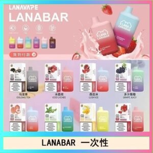 LANA BAR可充电一次性電子煙霧化5000口(3.0%)
