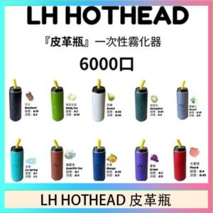 LH HOTHEAD皮革瓶電子煙可充電6000口一次性