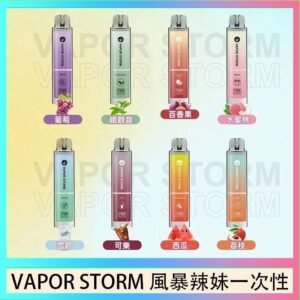 VAPOR STORM風暴辣妹一次性主機充電7500口（5%）