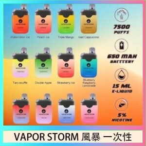 Vapor Storm風暴電子煙7500口（5%）一次性