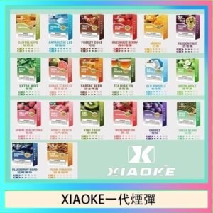 XIAOKE梟客煙彈一代電子菸彈3顆入適配一代主機